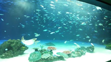 サンシャイン水族館に投稿された画像（2021/8/4）