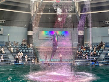 マクセル アクアパーク品川に投稿された画像（2021/8/4）