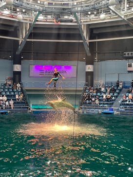 マクセル アクアパーク品川に投稿された画像（2021/8/4）