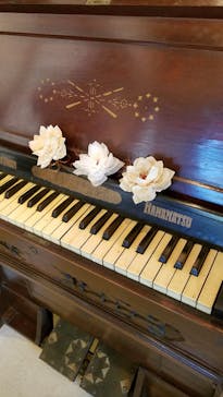 アトリエひわだやに投稿された画像（2021/8/4）