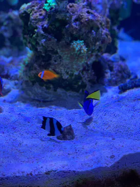 すみだ水族館に投稿された画像（2021/8/4）