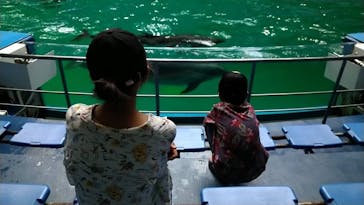 マクセル アクアパーク品川に投稿された画像（2021/7/31）