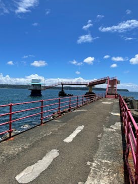 串本海中公園水族館に投稿された画像（2021/8/4）