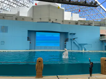 横浜・八景島シーパラダイスに投稿された画像（2021/8/4）