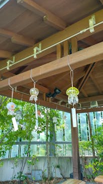 京都水族館に投稿された画像（2021/8/4）