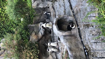 サンシャイン水族館に投稿された画像（2021/8/4）