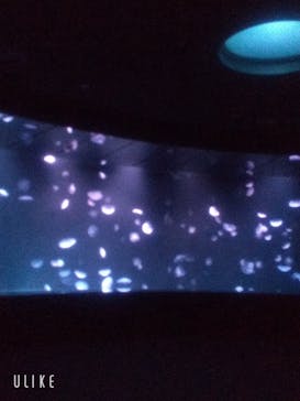 サンシャイン水族館に投稿された画像（2021/8/4）