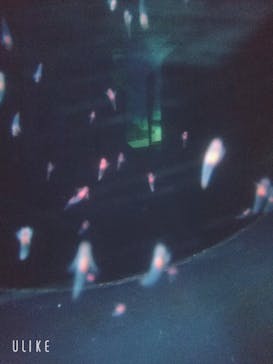 サンシャイン水族館に投稿された画像（2021/8/4）