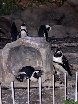 サンシャイン水族館に投稿された画像（2021/8/4）