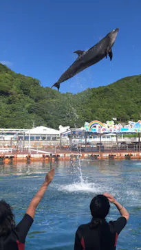 うみたま体験パーク 「つくみイルカ島」に投稿された画像（2021/8/5）