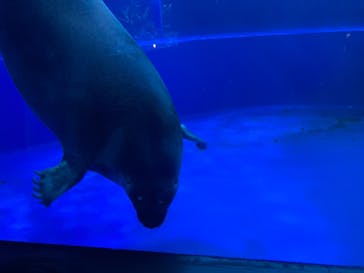 サンシャイン水族館に投稿された画像（2021/8/5）