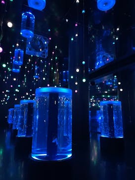 マクセル アクアパーク品川に投稿された画像（2021/8/5）