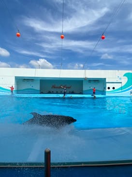 南知多ビーチランド＆南知多おもちゃ王国に投稿された画像（2021/8/5）