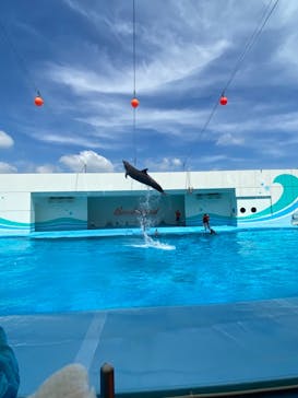 南知多ビーチランド＆南知多おもちゃ王国に投稿された画像（2021/8/5）