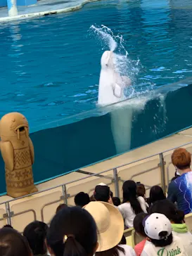 横浜・八景島シーパラダイスに投稿された画像（2021/8/5）