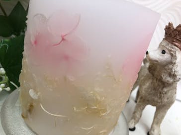 ずこうしつ〜sugamo〜に投稿された画像（2021/8/5）