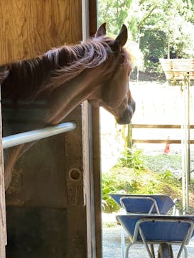 マリンズステーブルに投稿された画像（2021/8/5）