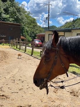 マリンズステーブルに投稿された画像（2021/8/5）