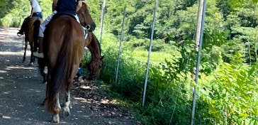 マリンズステーブルに投稿された画像（2021/8/5）