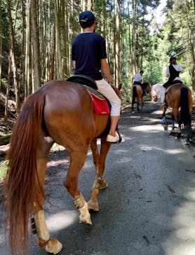 マリンズステーブルに投稿された画像（2021/8/5）