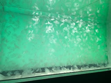 アクアワールド茨城県大洗水族館に投稿された画像（2021/8/5）