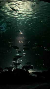 サンシャイン水族館に投稿された画像（2021/8/5）