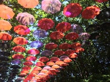 ムーミンバレーパークに投稿された画像（2021/8/5）