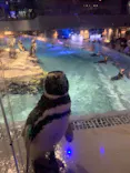 すみだ水族館に投稿された画像（2021/8/5）