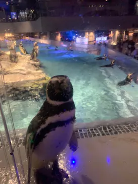 すみだ水族館に投稿された画像（2021/8/5）