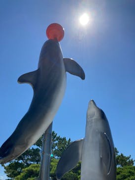 マリンワールド海の中道に投稿された画像（2021/8/5）