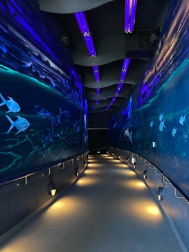 マリンワールド海の中道に投稿された画像（2021/8/5）