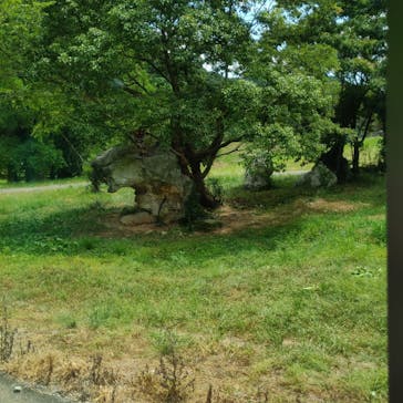 秋吉台自然動物公園 サファリランドに投稿された画像（2021/8/5）