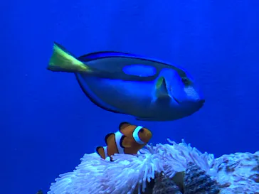 仙台うみの杜水族館に投稿された画像（2021/8/5）