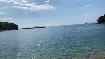 ホワイトウイングに投稿された画像（2021/8/5）