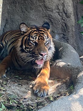 神戸どうぶつ王国に投稿された画像（2021/8/5）