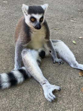 神戸どうぶつ王国に投稿された画像（2021/8/5）