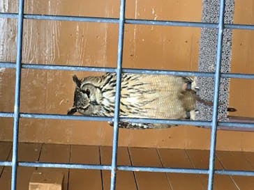 那須どうぶつ王国に投稿された画像（2021/8/5）