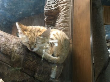 那須どうぶつ王国に投稿された画像（2021/8/5）