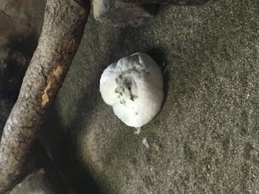 那須どうぶつ王国に投稿された画像（2021/8/5）