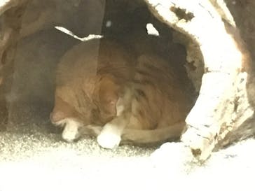 那須どうぶつ王国に投稿された画像（2021/8/5）