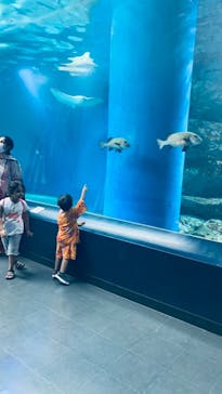 マクセル アクアパーク品川に投稿された画像（2021/8/6）