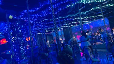 マクセル アクアパーク品川に投稿された画像（2021/8/6）