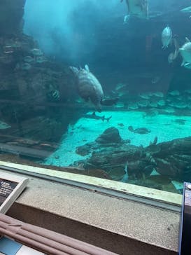 株式会社Gに投稿された画像（2021/8/6）