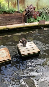 富士花鳥園に投稿された画像（2021/8/6）