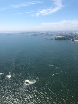 松島熱気球・パラグライダー体験に投稿された画像（2021/8/6）