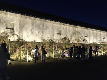 二条城×ネイキッド 二条城夏まつり2021に投稿された画像（2021/8/6）