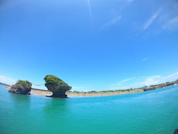 武藤潜水に投稿された画像（2021/8/6）