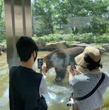 サホロリゾート　ベア･マウンテンに投稿された画像（2021/8/6）