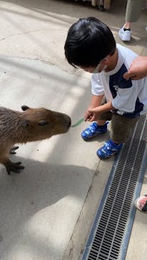 神戸どうぶつ王国に投稿された画像（2021/8/6）