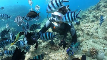 DIVING-SHOP SUNSに投稿された画像（2021/8/6）